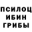 Псилоцибиновые грибы Psilocybine cubensis Faraonzlo