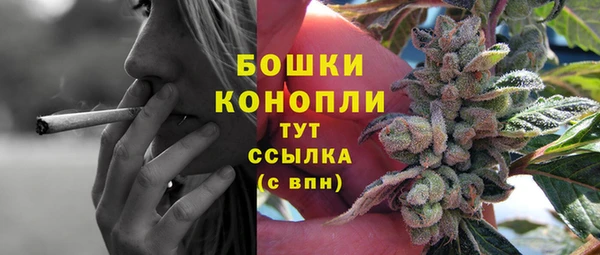Альфа ПВП Карпинск